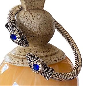 Sapphire Silver Snake Viking Bangle Unisex Bracelet